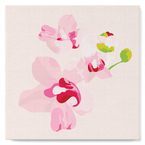 Mini Paint by numbers Pink Orchids Set 2 of 4 20x20cm already framed