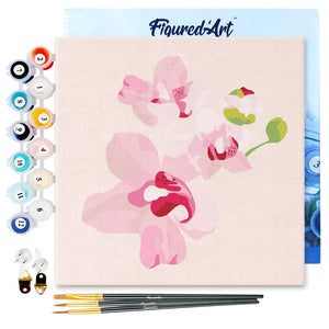 Mini Paint by numbers Pink Orchids Set 2 of 4 20x20cm already framed