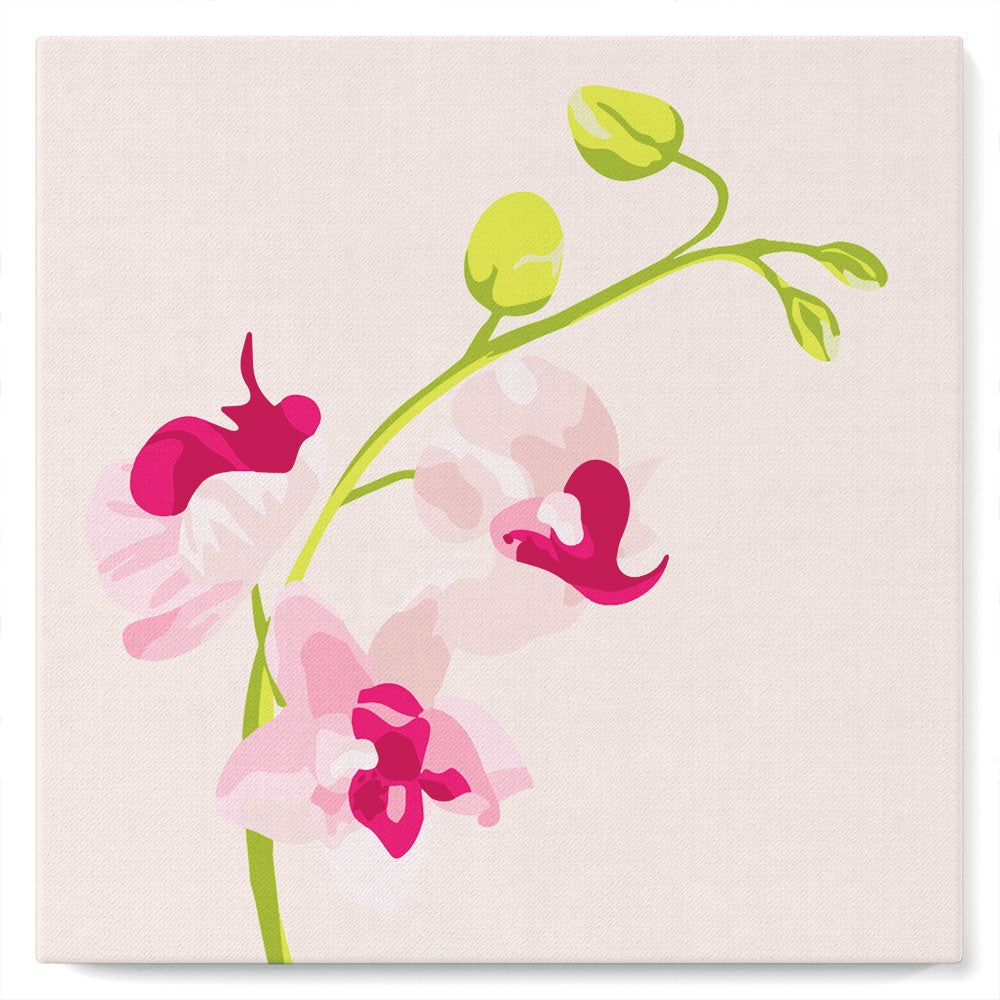 Mini Paint by numbers Pink Orchids Set 4 of 4 20x20cm already framed