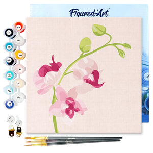 Mini Paint by numbers Pink Orchids Set 4 of 4 20x20cm already framed