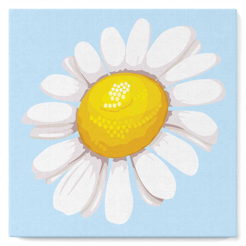 Mini Paint by numbers Pretty Daisy 20x20cm already framed