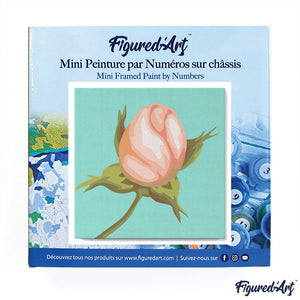 Mini Paint by numbers Pretty Rose Bud 20x20cm already framed