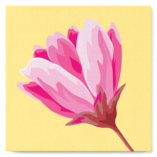 Mini Paint by numbers Pretty Pink Magnolia 20x20cm already framed