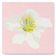 Load image into Gallery viewer, Mini Paint by numbers Pretty White Wild Rose 20x20cm already framed