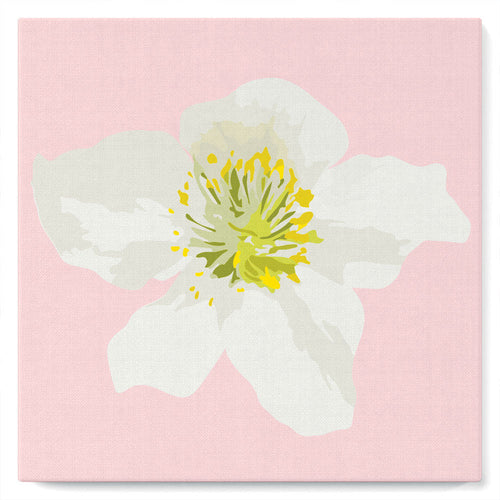 Mini Paint by numbers Pretty White Wild Rose 20x20cm already framed