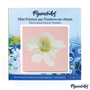 Mini Paint by numbers Pretty White Wild Rose 20x20cm already framed