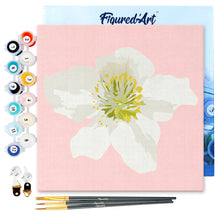 Load image into Gallery viewer, Mini Paint by numbers Pretty White Wild Rose 20x20cm already framed