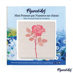 Mini Paint by numbers Blooming Pink Rose 20x20cm already framed