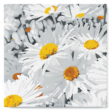 Load image into Gallery viewer, Mini Paint by numbers Daisies Field 20x20cm already framed