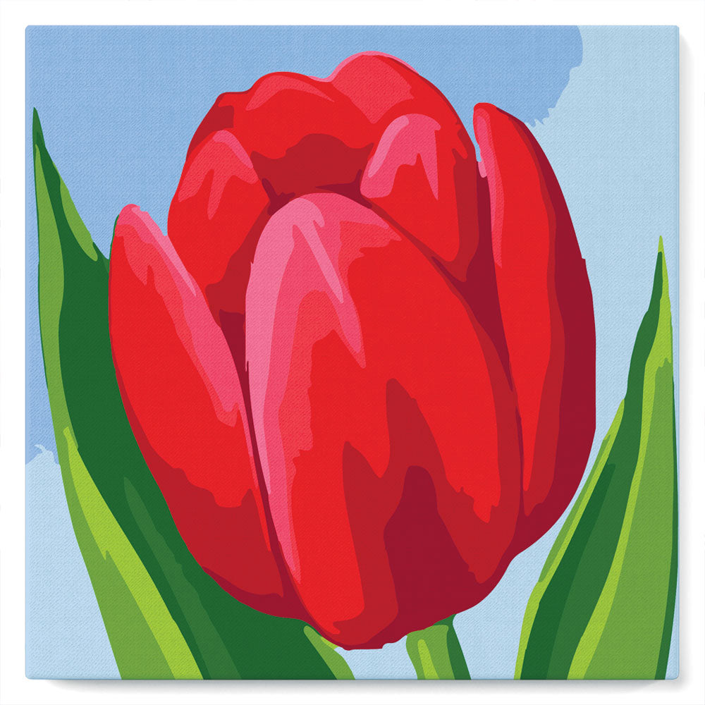 Mini Paint by numbers Red Tulip 20x20cm already framed