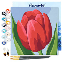 Load image into Gallery viewer, Mini Paint by numbers Red Tulip 20x20cm already framed