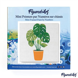 Mini Paint by numbers Beautiful Monstera Pot 20x20cm already framed