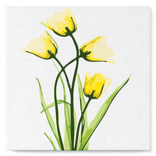 Load image into Gallery viewer, Mini Paint by numbers Blooming Yellow Tulips 20x20cm already framed