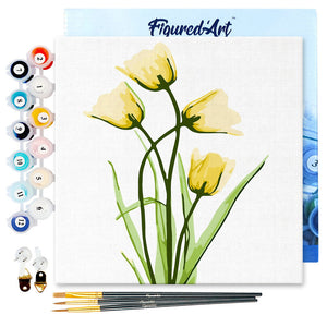 Mini Paint by numbers Blooming Yellow Tulips 20x20cm already framed