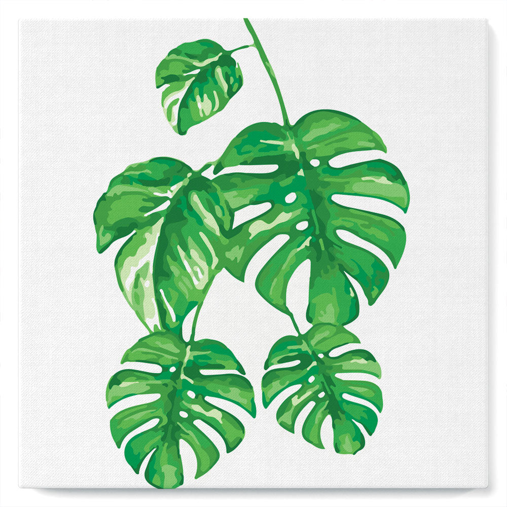 Mini Paint by numbers Monstera Leaves 20x20cm already framed