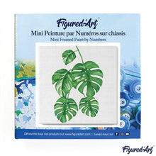 Load image into Gallery viewer, Mini Paint by numbers Monstera Leaves 20x20cm already framed