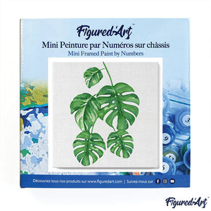 Mini Paint by numbers Monstera Leaves 20x20cm already framed