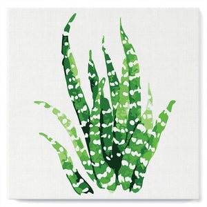 Mini Paint by numbers Abstract Aloe Vera Plant 20x20cm already framed