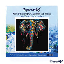 Load image into Gallery viewer, Mini Paint by numbers Elephant Painting 20x20cm already framed