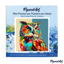 Load image into Gallery viewer, Mini Paint by numbers Owl Abstract Pop Art 20x20cm already framed