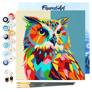 Mini Paint by numbers Owl Abstract Pop Art 20x20cm already framed