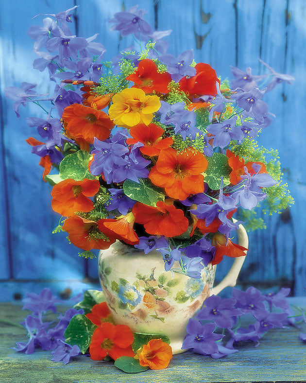 Paint by numbers | Orange and purple bouquet | flowers intermediate new arrivals | Figured'Art
