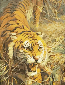 paint by numbers | Angry Tiger | animals intermediate tigers | FiguredArt