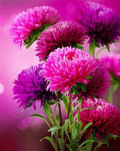 Load image into Gallery viewer, paint by numbers | Aster Autumn Flower | advanced flowers | FiguredArt