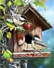 Load image into Gallery viewer, paint by numbers | Bird House | animals birds intermediate | FiguredArt