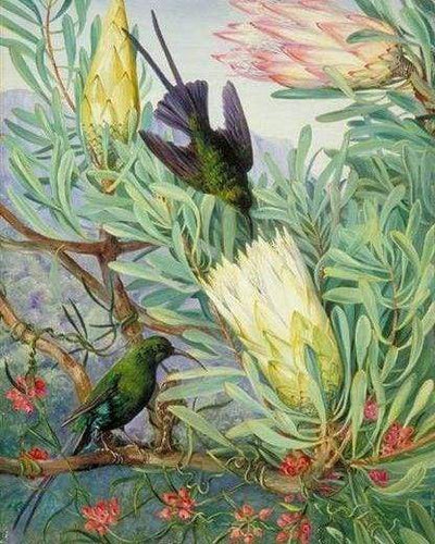 paint by numbers | Birds and Big Flowers | advanced animals birds flowers new arrivals | FiguredArt