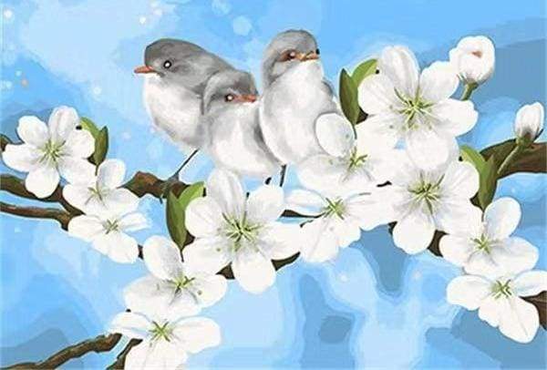 paint by numbers | Birds and White Magnolia | animals beginners birds easy flowers | FiguredArt