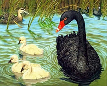 Load image into Gallery viewer, paint by numbers | Birds in the Pond | animals intermediate | FiguredArt