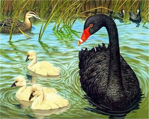 paint by numbers | Birds in the Pond | animals intermediate | FiguredArt