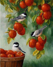 Load image into Gallery viewer, paint by numbers | Birds On Red Apples | advanced animals birds | FiguredArt