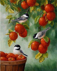 paint by numbers | Birds On Red Apples | advanced animals birds | FiguredArt
