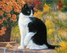 Load image into Gallery viewer, paint by numbers | Black and White Cat | advanced animals cats | FiguredArt