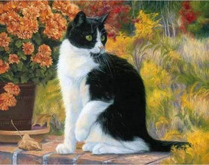 paint by numbers | Black and White Cat | advanced animals cats | FiguredArt