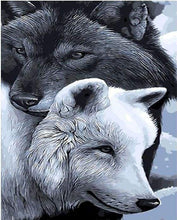 Load image into Gallery viewer, paint by numbers | Black and white Wolves | advanced animals horses wolves | FiguredArt