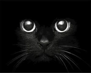 paint by numbers | Black Cat Head | animals cats intermediate | FiguredArt