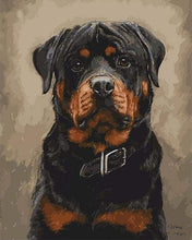 Load image into Gallery viewer, paint by numbers | Black dog | animals dogs intermediate | FiguredArt