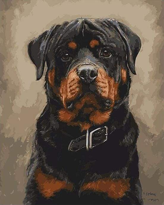 paint by numbers | Black dog | animals dogs intermediate | FiguredArt