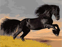 Load image into Gallery viewer, paint by numbers | Black Stallion | animals easy horses | FiguredArt