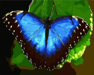 paint by numbers | Blue butterfly | animals butterflies easy | FiguredArt