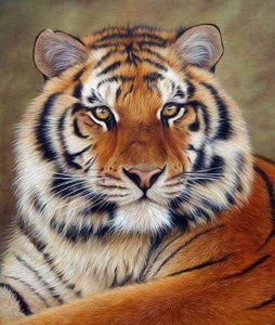 Diamond Painting - Tiger Eye 40x50cm canvas already framed