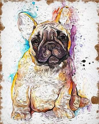 Paint by deals numbers french bulldog