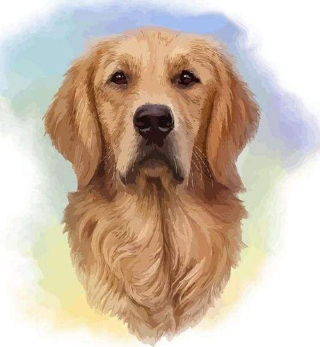 paint by numbers | Brown Dog Spirit | animals dogs intermediate | FiguredArt