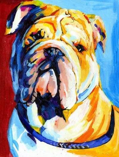 paint by numbers | Bulldog | advanced animals dogs Pop Art | FiguredArt