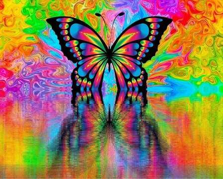 paint by numbers | Butterfly Reflection | advanced animals butterflies new arrivals | FiguredArt