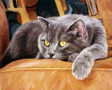 Load image into Gallery viewer, paint by numbers | Cat on Couch | animals cats intermediate | FiguredArt