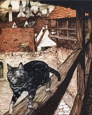 paint by numbers | Cat on the ledge | advanced animals cats new arrivals | FiguredArt